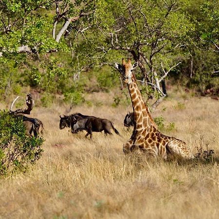 Waterberg Game Lodge Бела Бела Екстериор снимка